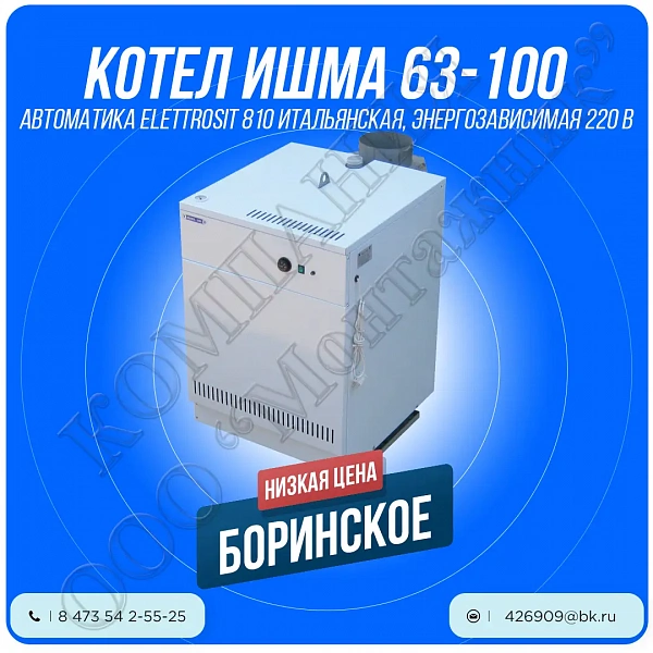 ИШМА-63 ES (Elettrosit 810) с автоматикой - газовый котел ОАО "Боринское" г.Липецк (Боринский)