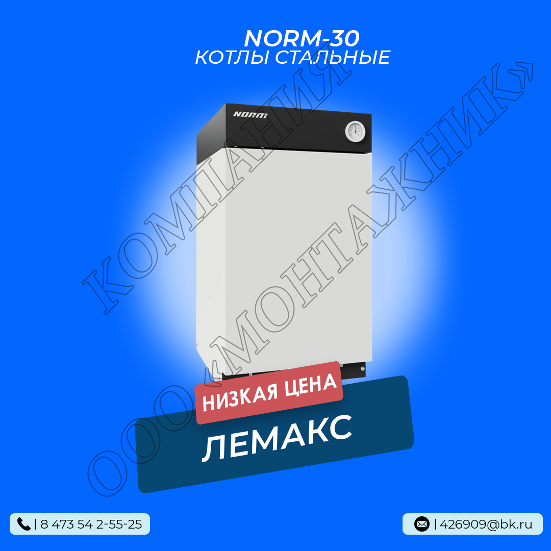 Котел Лемакс NORM 30